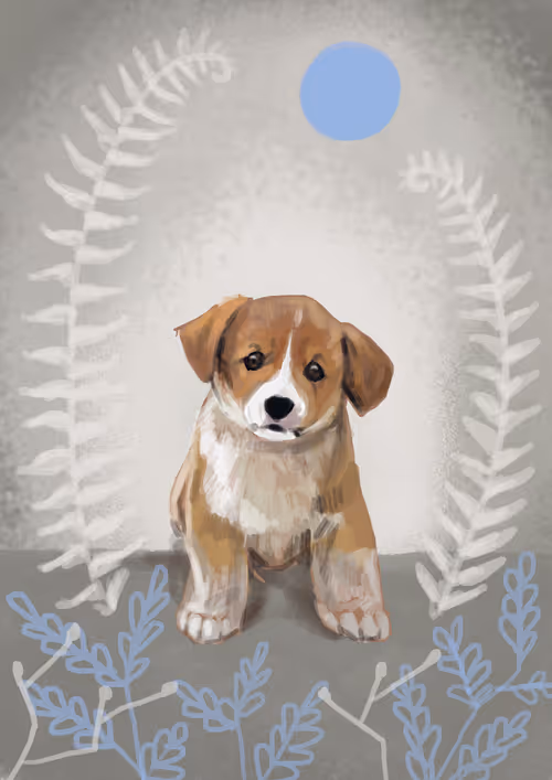 Item #7256243056531702104159472949877510288821453717884123468615994720581100503041 Media