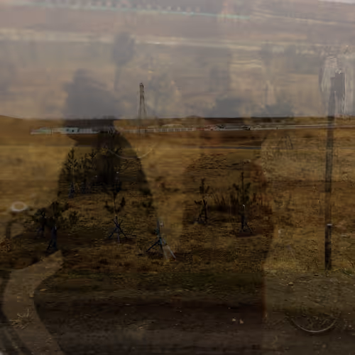 BaldingImbecile Collection