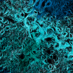 Vortex #1505