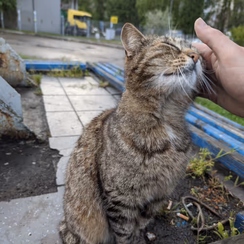 Untitled Collection #81629722