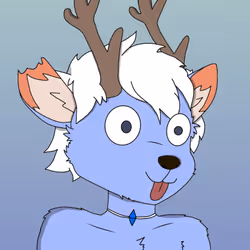 30016579514841798280272942481353484762685851957115112550778020444143488073729