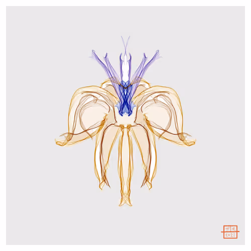 Item #60826036116840120591505749081523336013650594141619463205417416405414418841601 Media