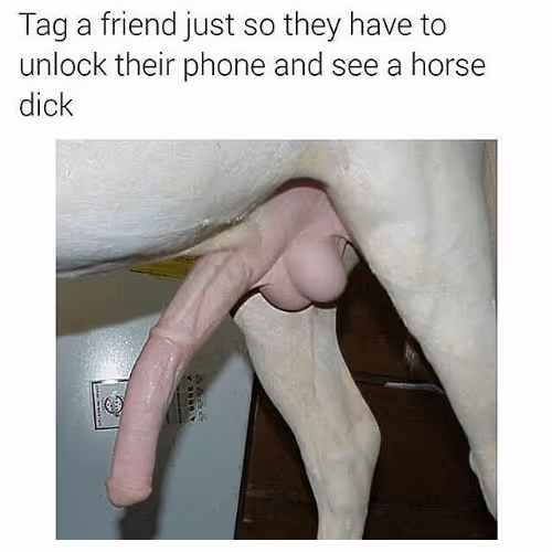 Slong dong