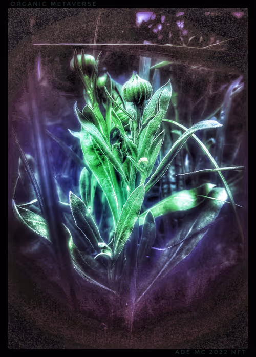 Item #3787080761074609709675817509753112159059746763483256848434353576488105672709 Media