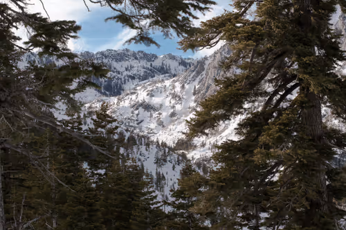 Item #31788909356613404137048829070137069187400346678612286943977180908150474145793 Media