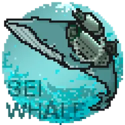 76886183400510986828564600332623285787207885382450708502093141902880736804865