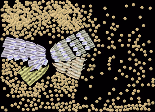 Item #72313549958186400623516579222099753259770590924826109399862157960029195468801 Media