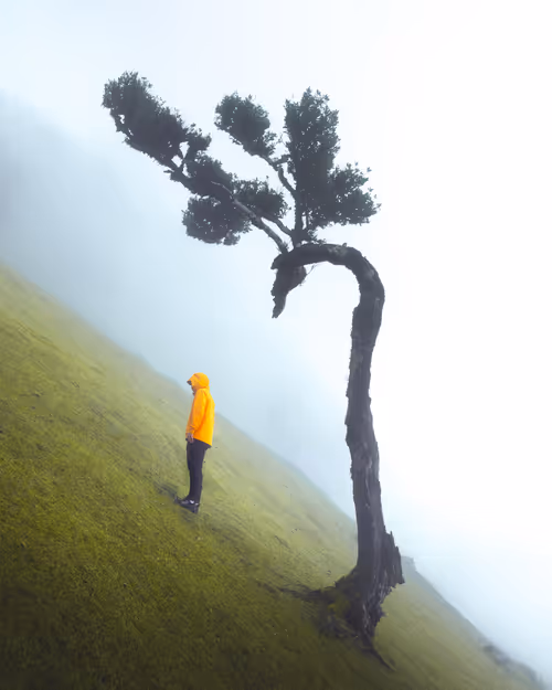 Item #59404681870809906448390957325299961742928436828892721220786848785811963379713 Media