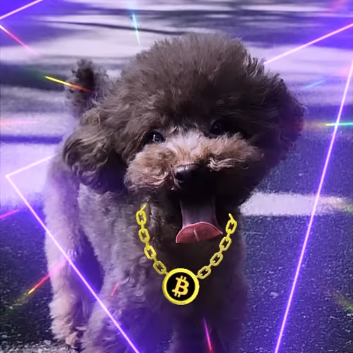 Galaxtic Poodle