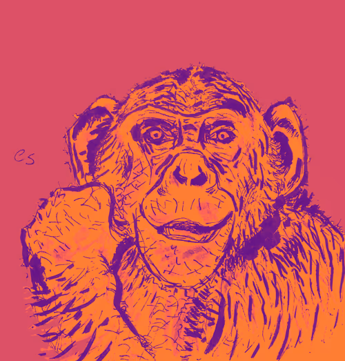 Item #39091703505809475788956350880894769302011138939225893693019847035478488383489 Media