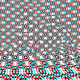 44746796731085357393502411190502551616164880256621162007128758227361238876161