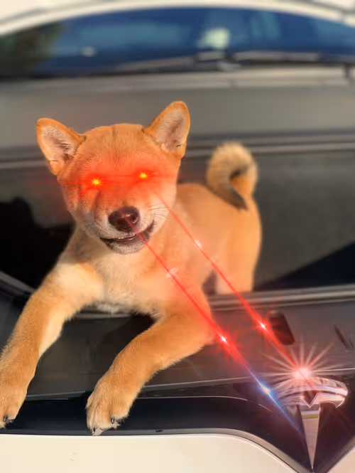 Item #4583203688154496710464576617550160289260541301864270714739251215346496962561 Media