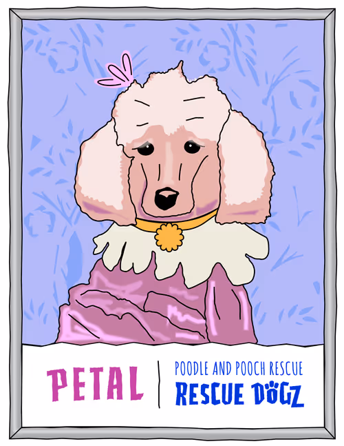 Item #30690731946652718087334591486962028713730520455891869769803774213078789390337 Media