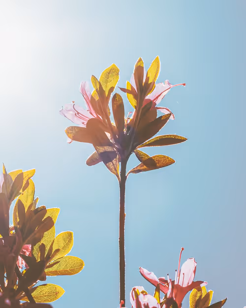 Item #61140817841535323188943582947873458398896939162862574355994582741427530235905 Media