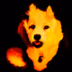 13045274408698368694273523963703494583510855620855910108097693671155015090177