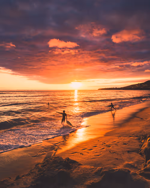 Item #85839433850987451351373420882988387136315355777257615017203975726244544118785 Media