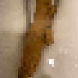 2850415134272365380187775685678842410458265265709128331682257621724491153409