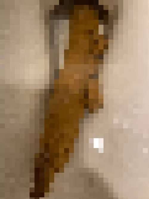 Item #2850415134272365380187775685678842410458265265709128331682257621724491153409 Media