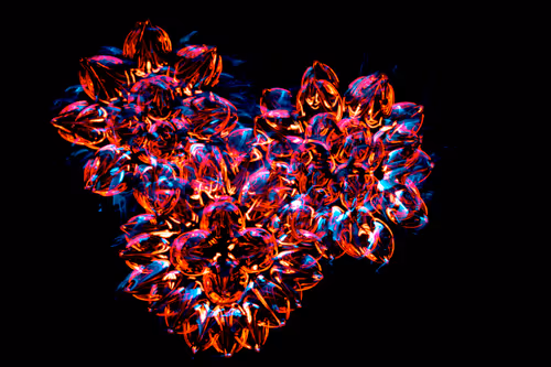 Item #36961558667508468901754344417864317572364831153456800218286958033621728886785 Media