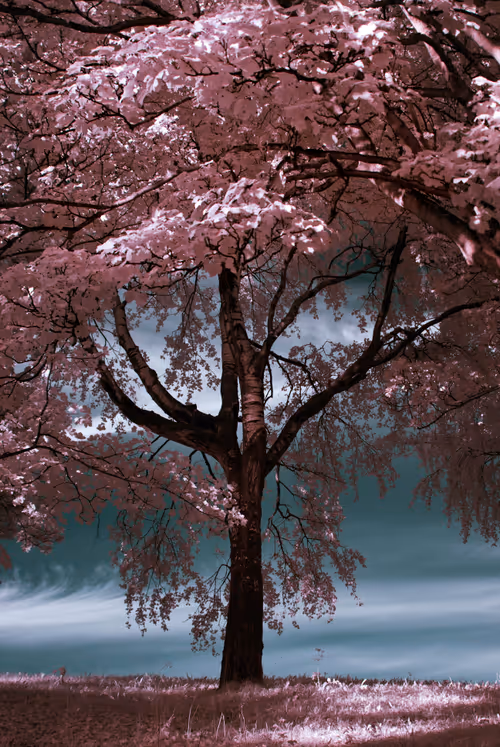 Item #105424874580272350249353180101820695324338341917620358577696675004739028516865 Media