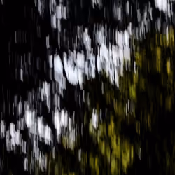 59576328445515739195370463517353860911468436894088720640490489329253189943297