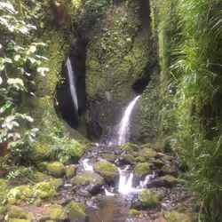 Micronesia Kosrae Waterfalls on Tafunsak Gorge Jungle Hike