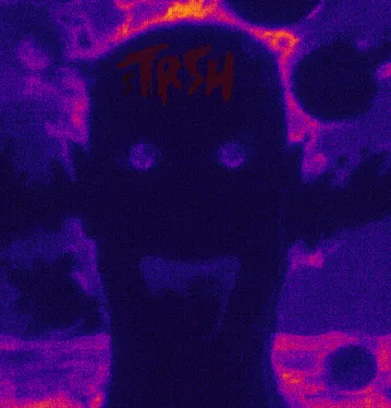 13439362437370999140501138582598292618476795451252891238898507603120956112917