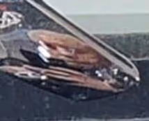 The Crypto FROG Experience V3