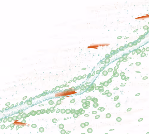 Item #22287813483371826071235731740106680874196660176262683968110774418158466891777 Media