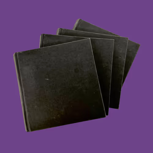 Thepalsuniversesketchbooks