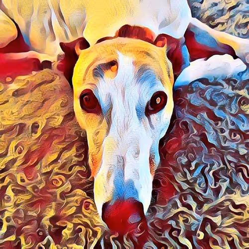 Item #113233535435930126246803406212525192330824104616936385021501681231998851481601 Media