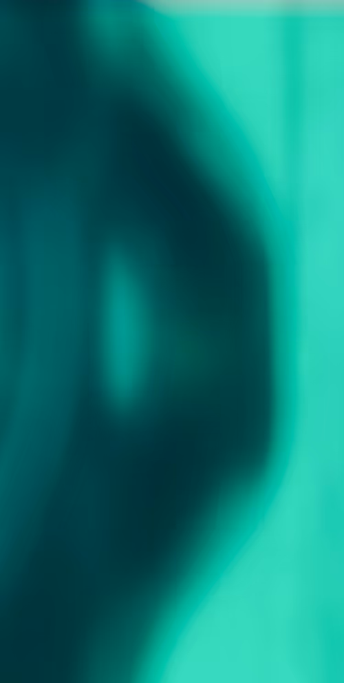 Item #34814088845477629227704468099299342434369579888194691644291829549874815172609 Media