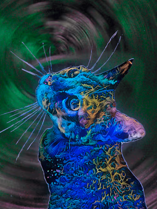 Item #23970642222808392989865087712963609079521043964881081446179584784084338999297 Media