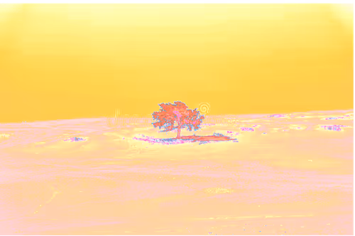 Item #76776902567538986355733437421378536749578677315307913045587343019533991411713 Media