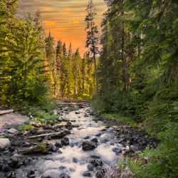 Tranquility