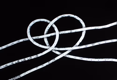 Item #19348387886638314608226308073204764497624528496557652038344455843782112313345 Media