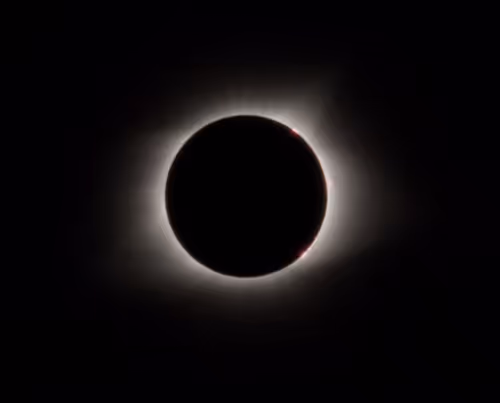 Item #85174842653131356867032633352722998066806980249500090825403945699318675013633 Media