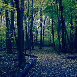 Lost.