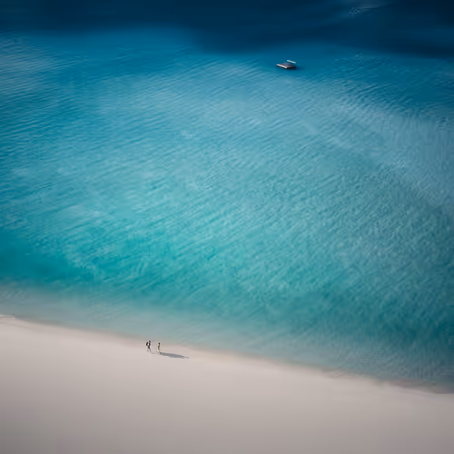 Intothebluecollection
