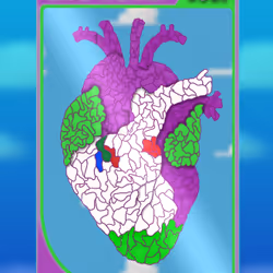 90475678972029395359707263313456981686565599755556252855853744706671278555137