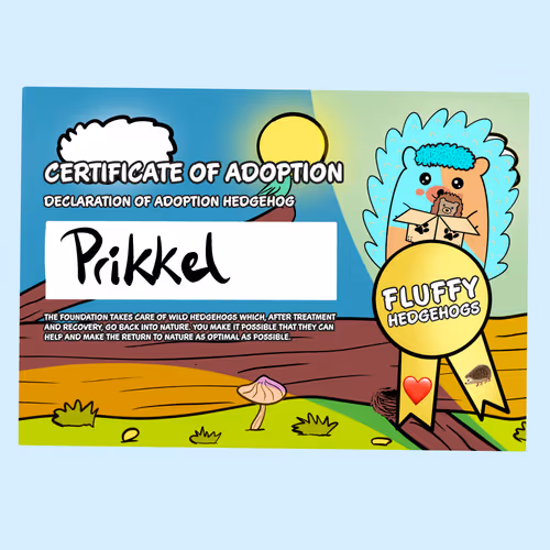 Item #82568299303928421953913761626182899451350454358972335949111842630183919026177 Media