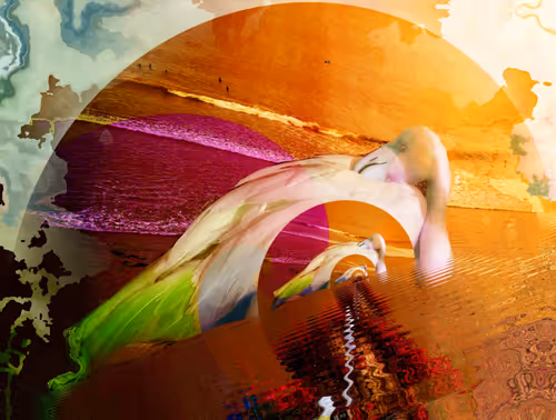 Item #42563441271919704082120100861601504742671505573607663294721934489185641562113 Media