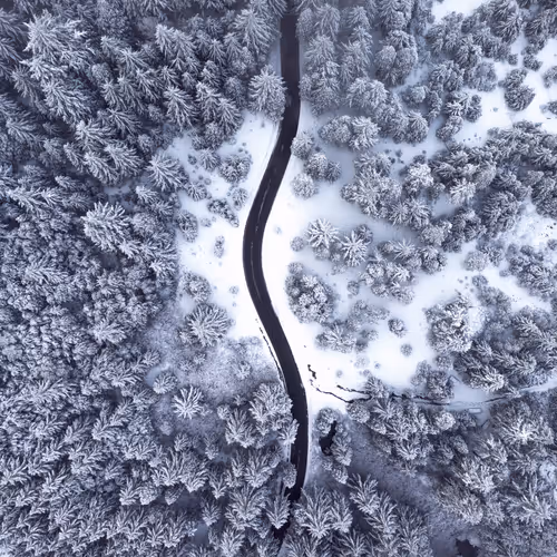 104222477878936975550568713233497043538790385416897933242955975580429894811673