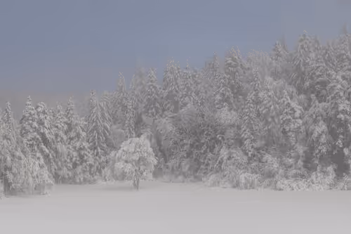 Item #82038507178112004707132471695972498506825775528903589266831690707357157818369 Media