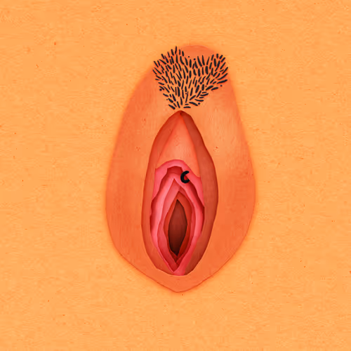 Item #83469337007199017734157032909695619947256388016886346874491258679495147651073 Media