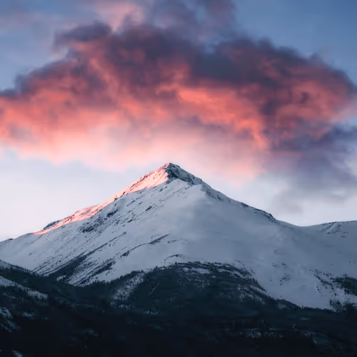 Editions by Sara Boychuk