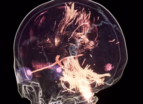 Item #49094267518849766728459320439263364163524723488724265765002212410299026243585 Media