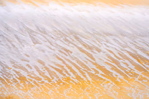 Item #30006959311443185004214998221159267460305523882483660266177696129487525117953 Media