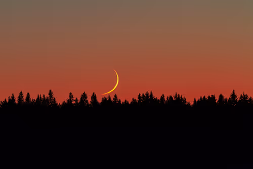 Item #53532806871377414762002313046978113508138147467496899965601038678814156128257 Media