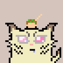 107270608432998056546639465326305842285672024348891621113428267425429398224897